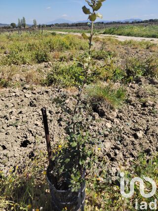  Terrain  vendre 1863 m