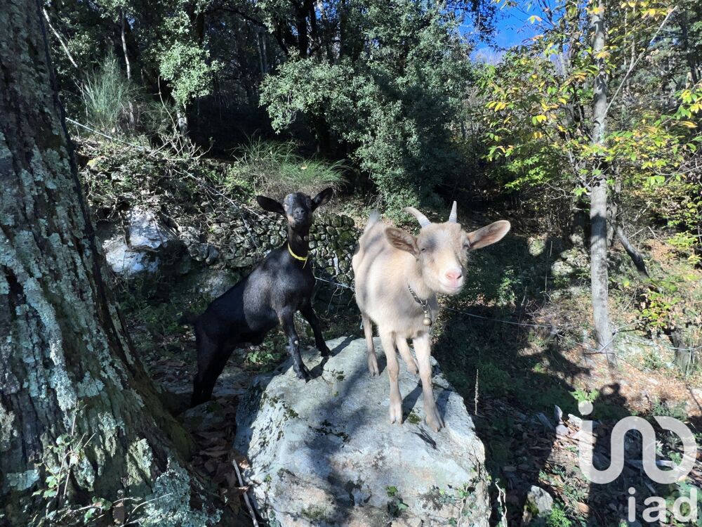 Vente Maison Vente Maison/villa 7 pices Jaujac
