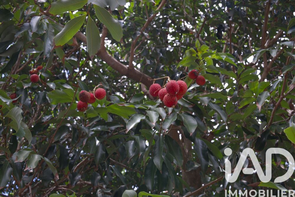 � vendre  Villa Les Avirons (97425)