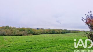  Maison � vendre 15 + pi�ces 395 m�