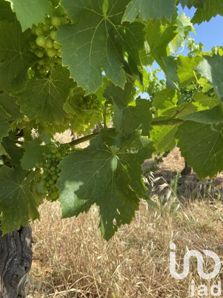  Terrain � vendre 58175 m�