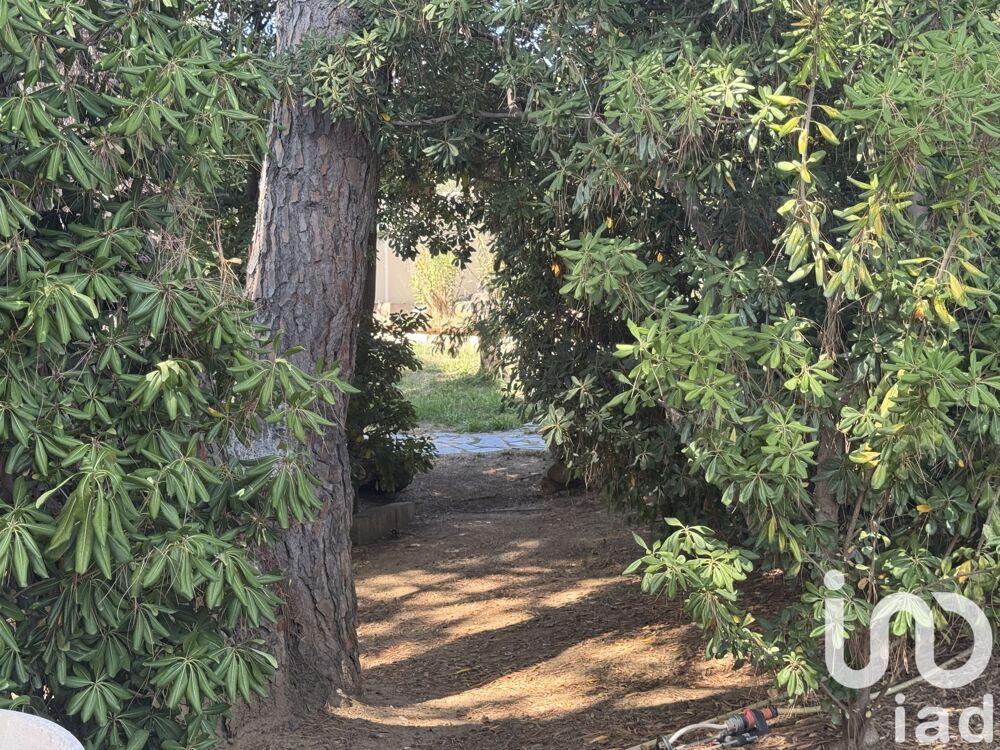  vendre  Maison Villeneuve-de-la-Raho (66180)