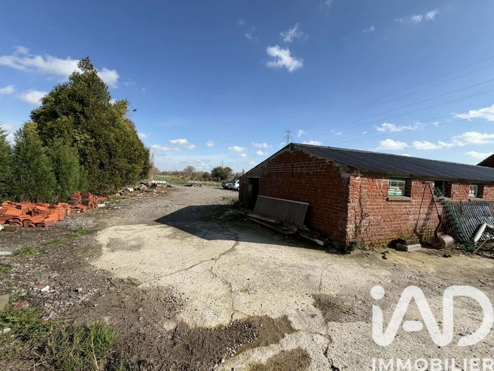 Vente Terrain Vente Terrain agricole 6 000 m&sup2; Ruminghem