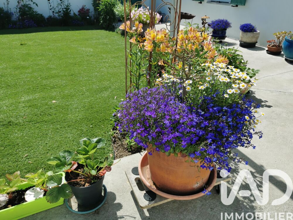 � vendre  Maison Le Bois-Plage-en-R� (17580)