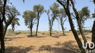  Terrain � vendre 700 m�