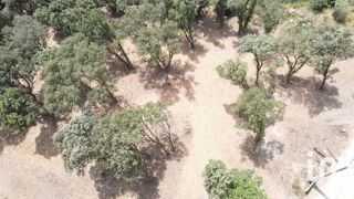  Terrain � vendre 700 m�