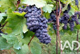  Terrain � vendre 20000 m�