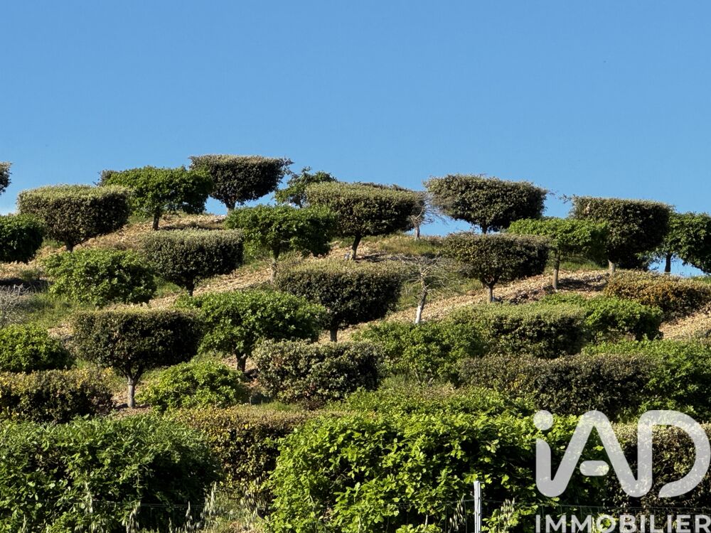 � vendre  Maison Mirambeau (17150)