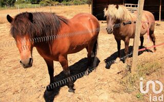  Maison � vendre 15 + pi�ces 370 m�