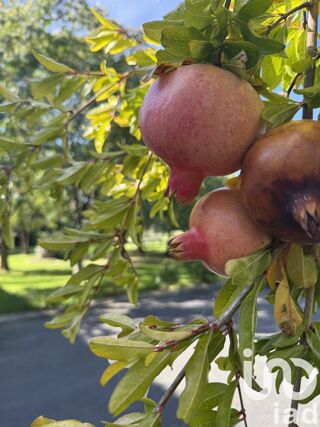  Maison � vendre 15 + pi�ces 605 m�