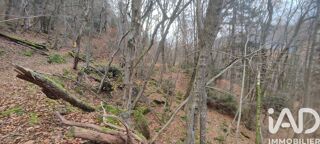  Terrain � vendre 61700 m�