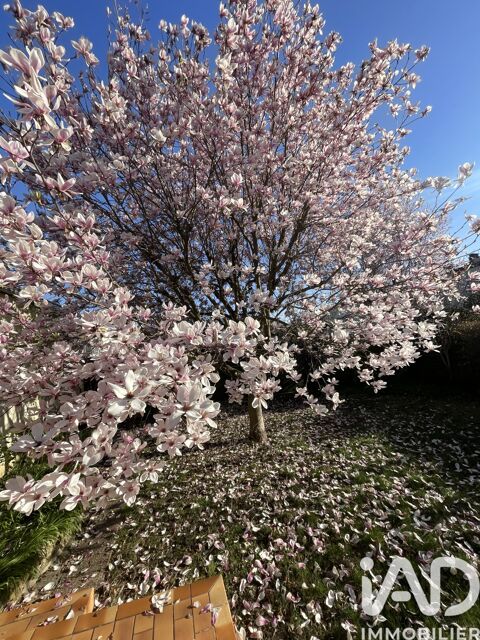   Vente Maison/villa 3 pi�ces Maison - 3 pi�ce(s) - 55 m�