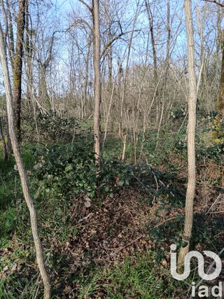  Terrain � vendre 24045 m�