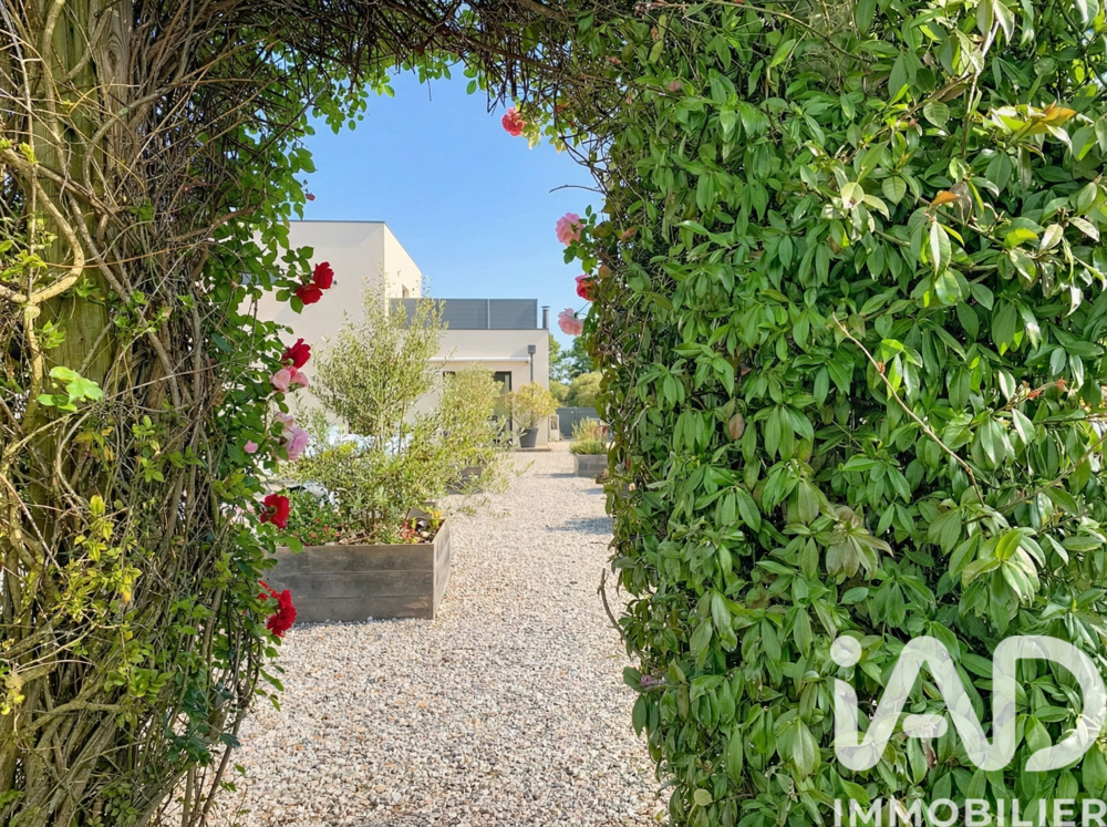 � vendre  Maison Chambon (17290)