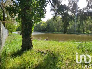  Terrain  vendre 50000 m