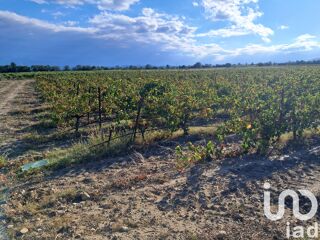  Terrain � vendre 29000 m�