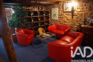  Maison � vendre 15 + pi�ces 480 m�