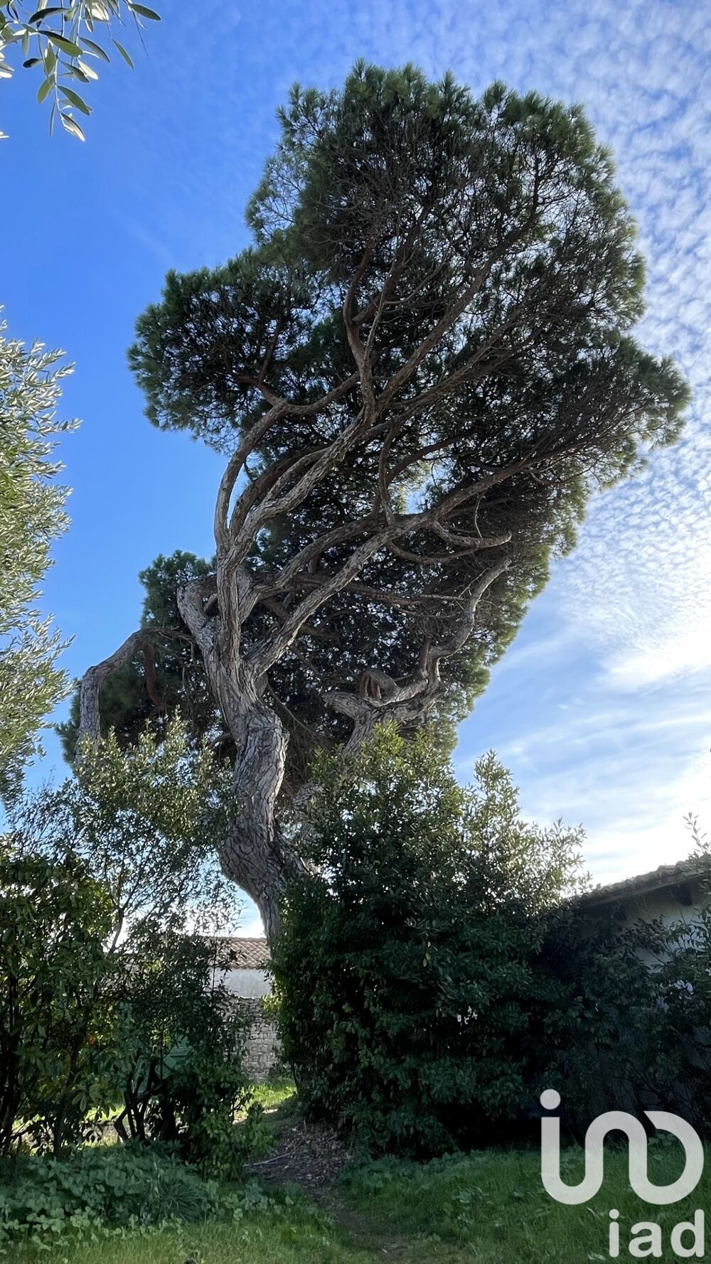  vendre  Maison Le Bois-Plage-en-R (17580)