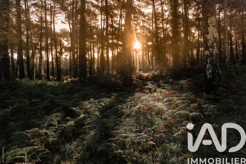  vendre  Maison Anglet (64600)