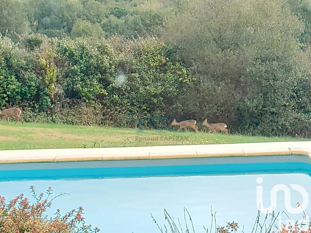  vendre  Maison Toulouse (31000)