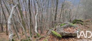  Terrain � vendre 61700 m�