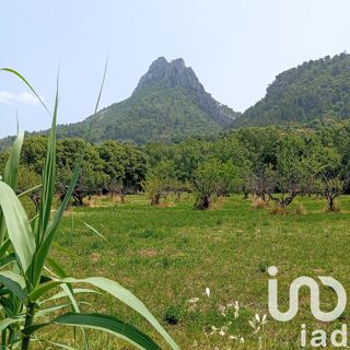  Terrain  vendre 11771 m