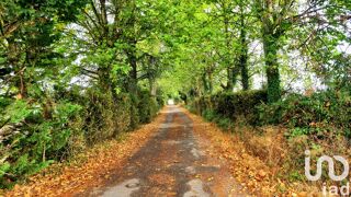  Maison � vendre 15 + pi�ces 519 m�