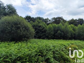  Terrain  vendre 3100 m