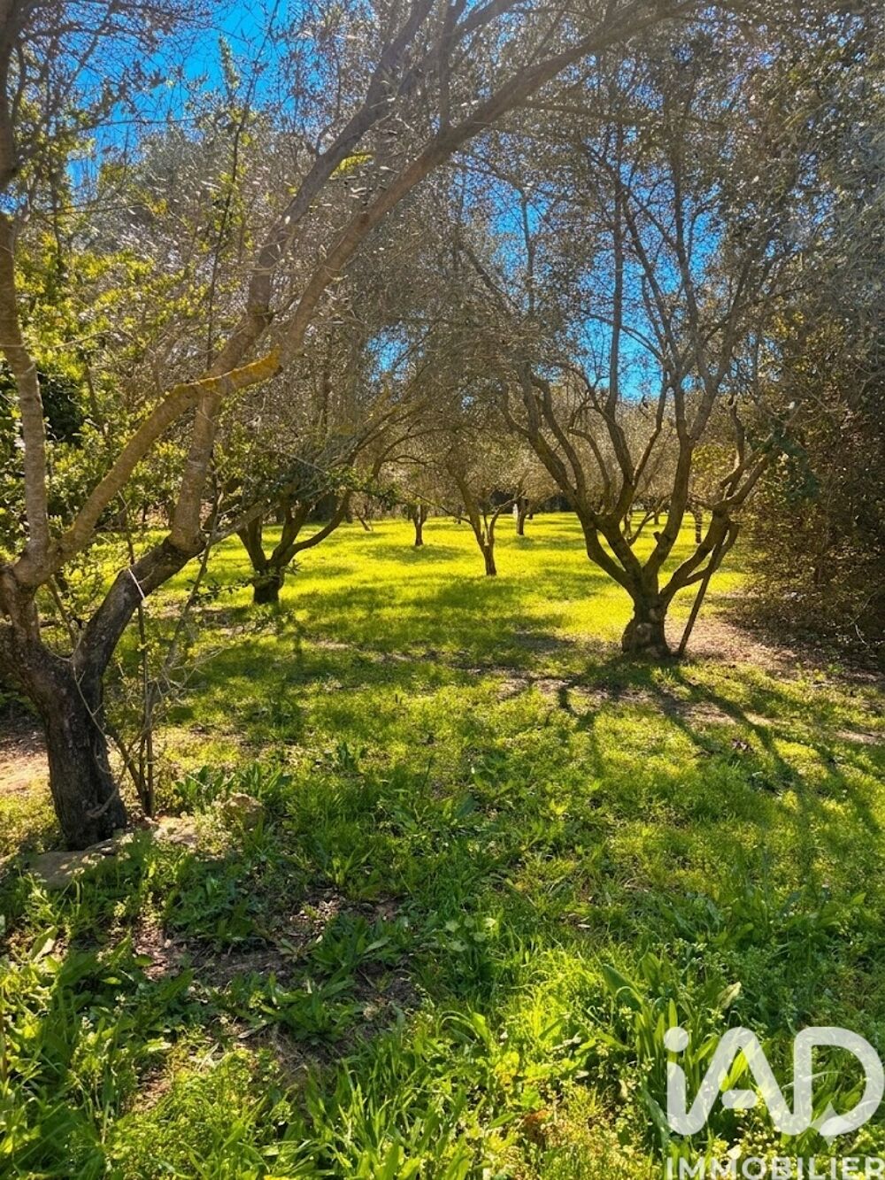 � vendre  Maison Carc�s (83570)