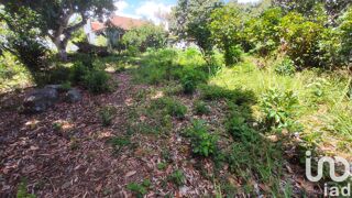  Terrain  vendre 319 m