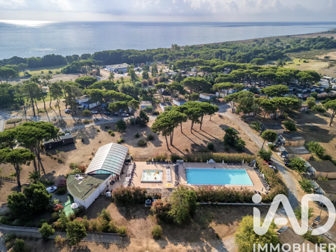   Vente Appartement 2 pi�ces Appartement - 2 pi�ce(s) - 31 m�