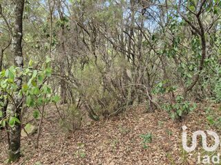  Terrain � vendre 2420 m�