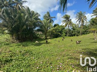  Terrain  vendre 2037 m