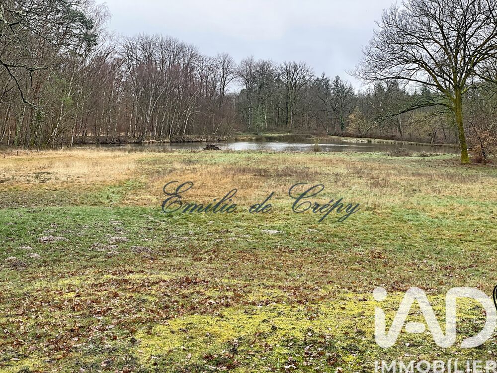 � vendre  Maison Lamotte-Beuvron (41600)