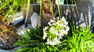  Maison � vendre 6 pi�ces 165 m�