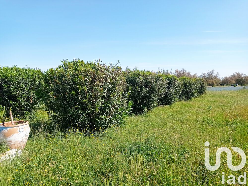 � vendre  Maison Marseillan (34340)