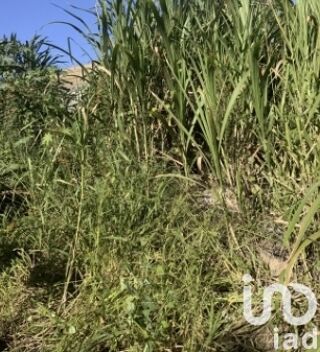  Terrain � vendre 372 m�