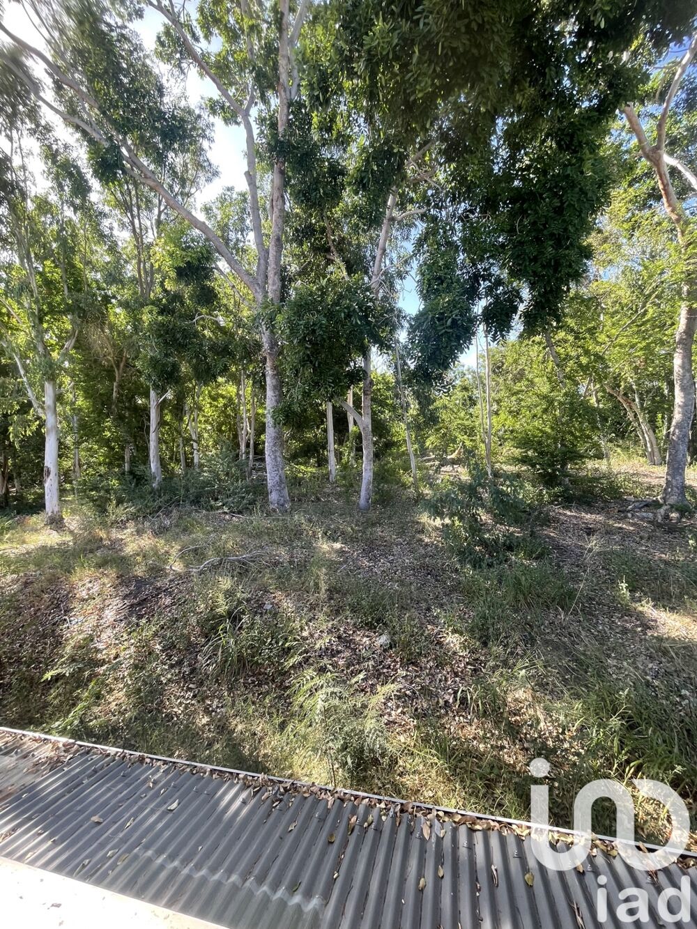 � vendre  Maison L' �tang-Sal� (97427)