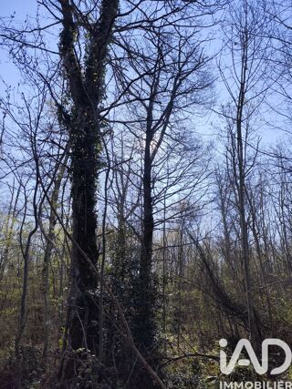  Terrain � vendre 33330 m�