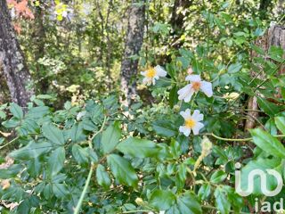  Terrain � vendre 12527 m�