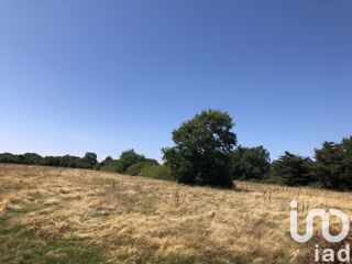  Terrain  vendre 319 m