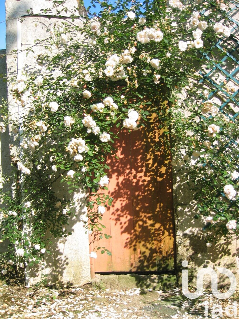 � vendre  Propri�t�/ch�teau Saint-Denis-la-Chevasse (85170)