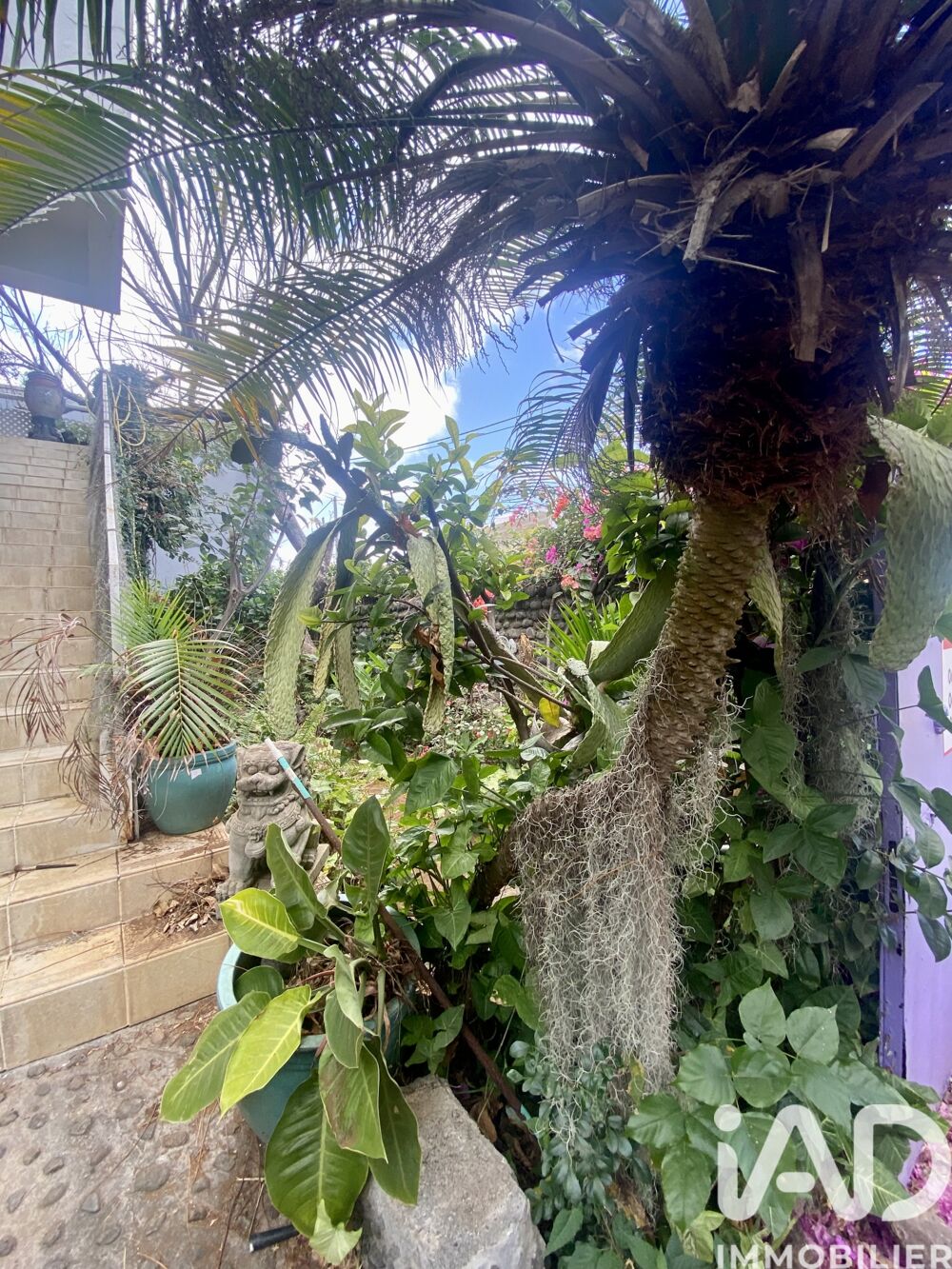 � vendre  Maison Saint-Pierre (97410)