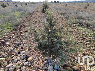  Terrain � vendre 4952 m�