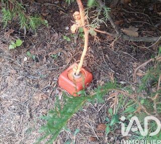  Terrain � vendre 530 m�