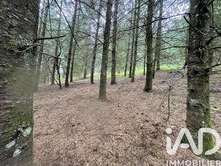  Terrain � vendre 121370 m�