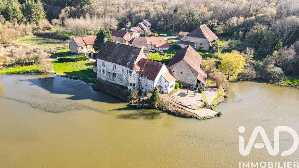 � vendre  Propri�t�/ch�teau Vi�vy (21230)