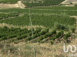  Terrain � vendre 52610 m�