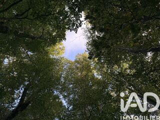 Terrain � vendre 40158 m�