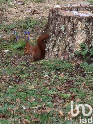  Terrain � vendre 588 m�